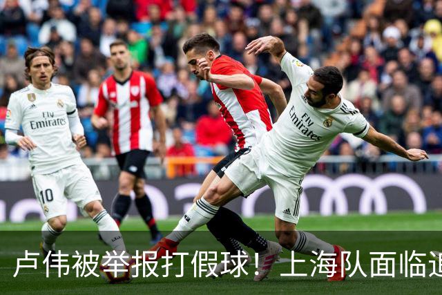 卢伟被举报打假球！上海队面临追罚，张镇麟坑惨球队